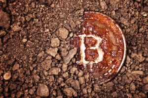 学生はこの業界の未来 ── 1億円相当のビットコインを探すゲーム「サトシの宝」が大学に