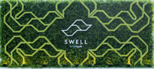 SWELL by Ripple
