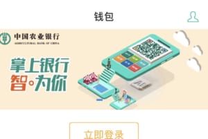 デジタル人民元の「UI」、中国4大銀行が開発か──SNSに写真投稿