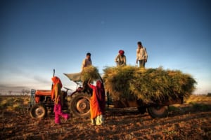 AI×ブロックチェーンで農家とバイヤーをつなぐ──アグリテック「Agri10x」がインドでしかける