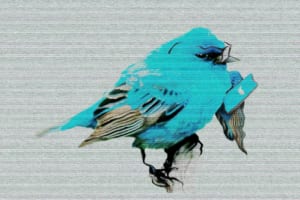 ユーザーが所有するインターネットが必要だ──Twitter史上“最悪の1日”を経て考えること
