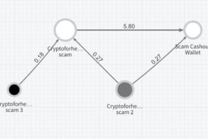 日本のウォレットから4万ドルのビットコイン──Twitter大規模乗っ取りをチェイナリシスが調査
