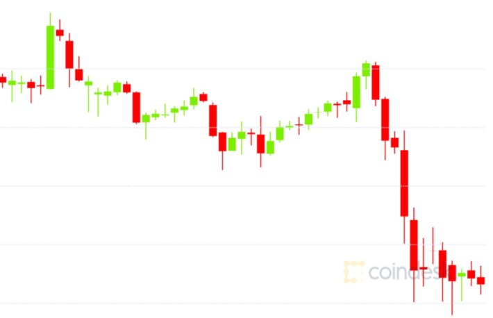 ビットコイン、1万ドルに下落しても強気市場の理由