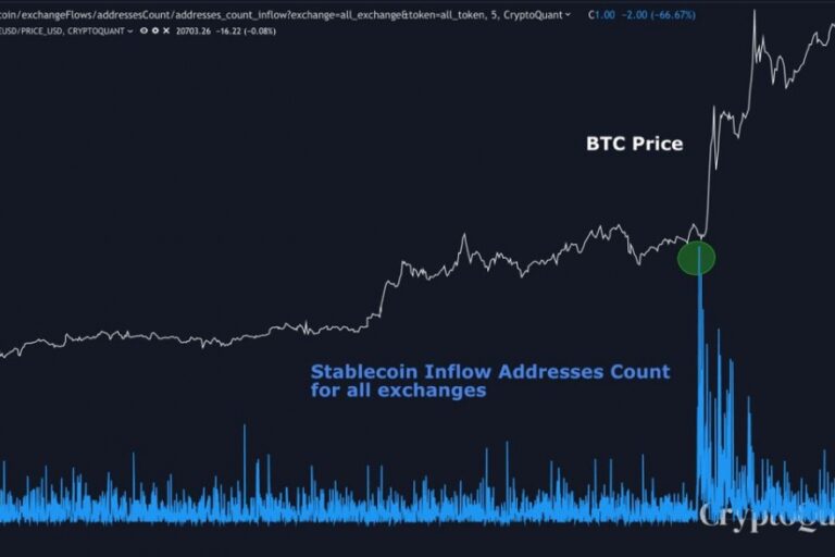 ビットコインの2万ドル突破、わずか10分で動いた巨大な購買力