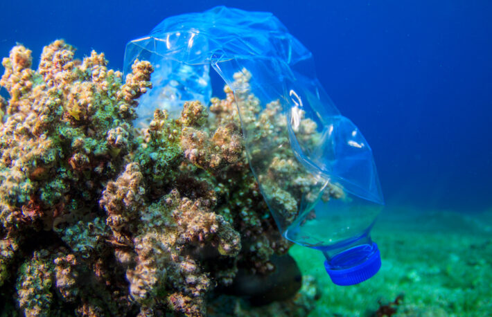 海洋プラスチックで作る衣料、追跡機能に「ブロックチェーン」と仏ブランドが宣伝しない理由