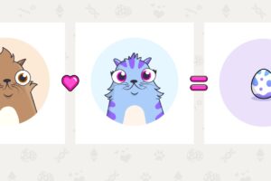 ブロックチェーンゲームのDapper Labs、2億5000万ドル超を調達──評価額は約20億ドル：報道