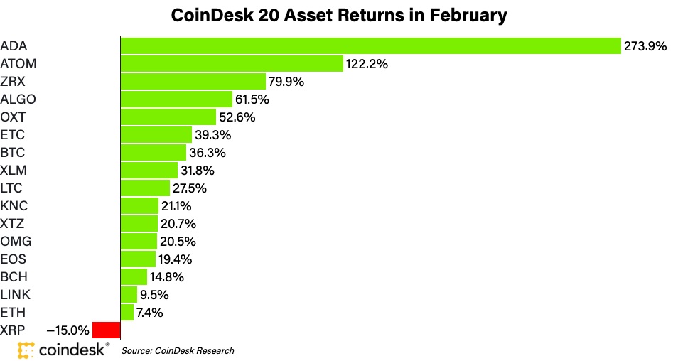 2月、カルダノが大きく上昇──CoinDesk 20で突出