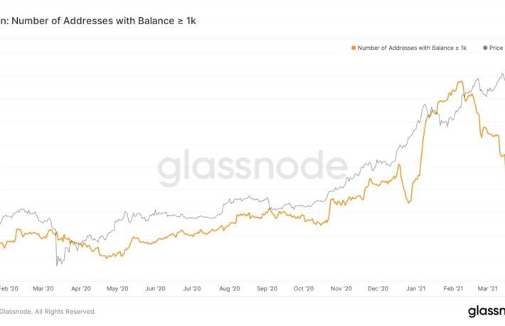 ビットコインの“クジラ”減少、利益確定売りで──個人の買い意欲強い：データ