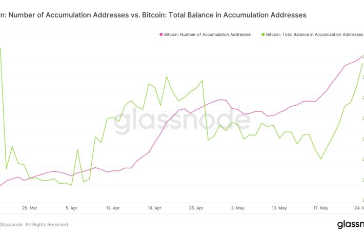 ビットコイン保有者数、過去最高を更新:データ