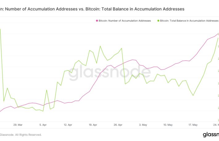 ビットコイン保有者数、過去最高を更新：データ