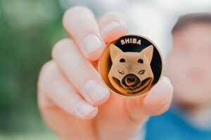 ドージコインのライバル、SHIBが高騰──コインベースが上場を発表