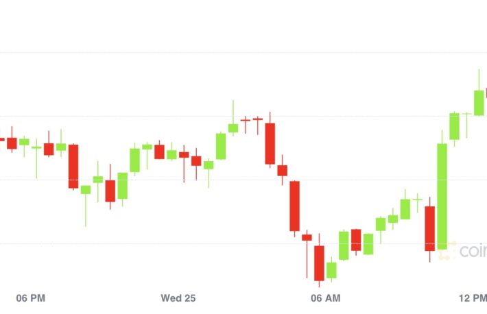 【市場動向】ビットコインは4万8000ドル回復、カルダノに勢い