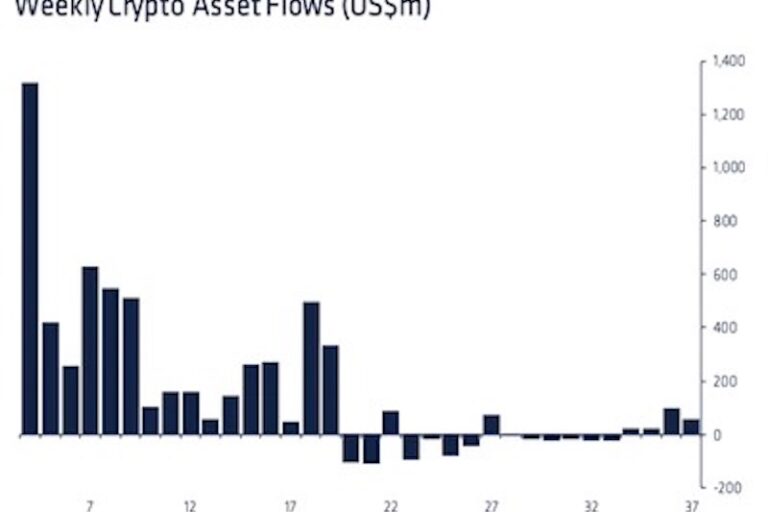 ソラナファンド、ビットコインファンドを上回る資金流入
