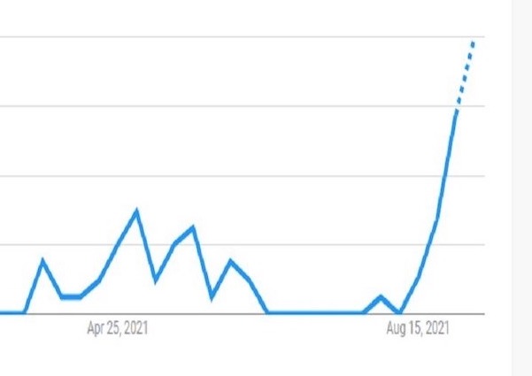 ソラナのgoogle検索数がピーク その意味は Coindesk Japan コインデスク ジャパン