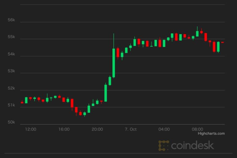 ビットコイン、ドミナンスも上昇──アルトコインから資金がシフト【市場動向】