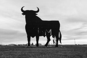 先物ETFで価格上昇、だが10万ドルの夢は消えた2021年のビットコイン【市場分析2021】Vol.8（最終回）