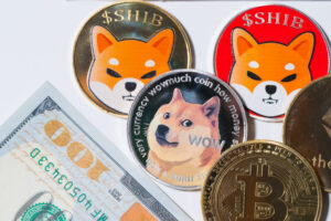 柴犬、ドージ…ミームコインに安全に投資する方法【北米版】