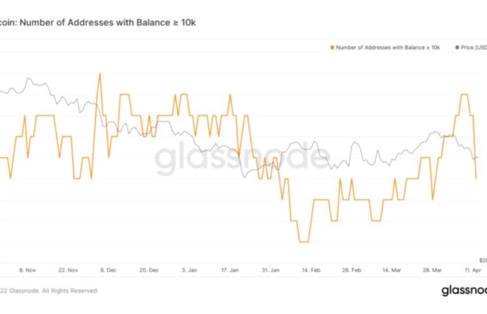 【US市場】ビットコイン下落、クジラは利益確定か