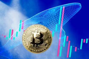 ビットコイン、そこそこのパフォーマンスでも元気のないクジラ【Krakenリサーチ】