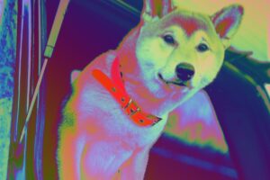 柴犬コイン、ステーブルコインやコレクティブル・カードゲームなどを計画