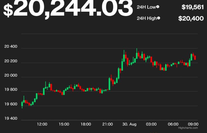 【US市場】ビットコインとイーサリアム、3日連続下落から反発──2万ドル、1500ドルを回復