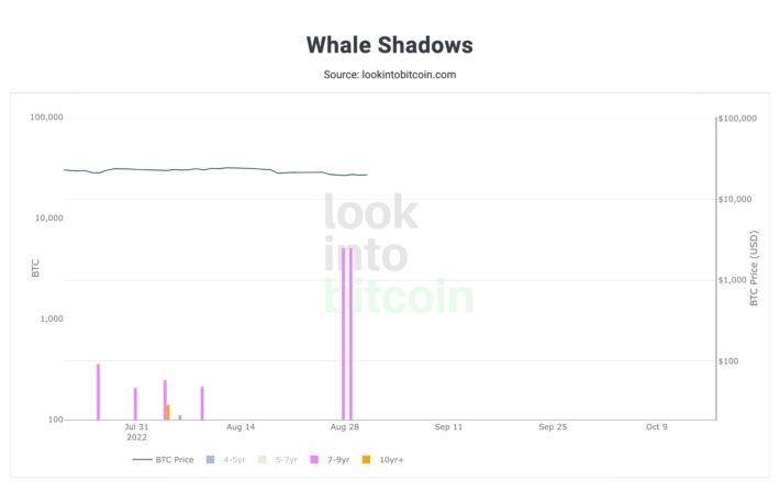 長く休眠していた1万ビットコイン、2億ドル相当が移動──理由は不明