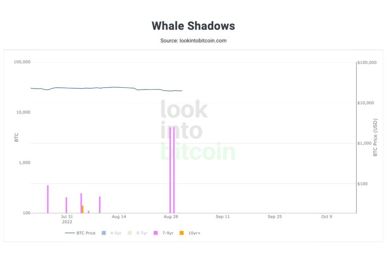 長く休眠していた1万ビットコイン、2億ドル相当が移動──理由は不明