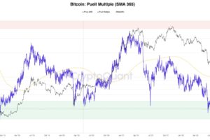 逆風のマクロ環境のなか、ビットコイン保有者の残高は増加