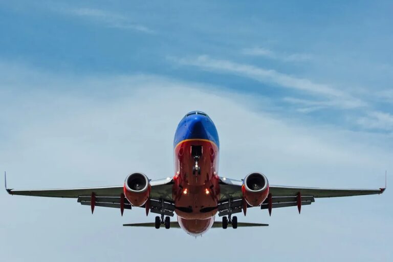 航空券の購入が可能に──南米の取引所Lemon