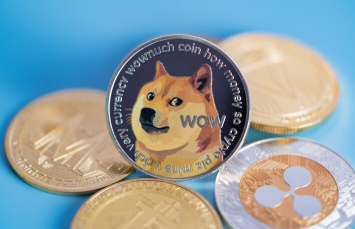 ドージコイン（DOGE）の価格推移と将来性は？　取り扱い取引所は？