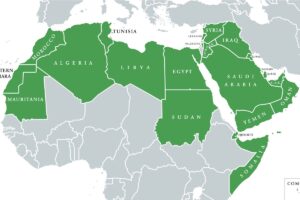 中東・北アフリカ、最も普及が進む：チェイナリシス