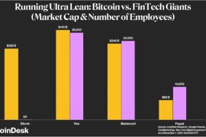 ビットコイン開発は少数精鋭──月間アクティブ開発者、40〜60人：NYDIG