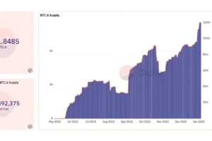 アバランチ上のビットコイン（BTC.b）、ライトニングネットワークを超える