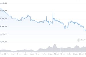 バイナンスUSDの時価総額、1カ月で20億ドル減少