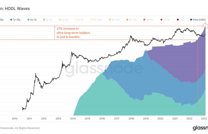 ブロックチェーンデータ、弱気相場でのビットコイン長期保有を明らかに