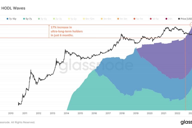 ブロックチェーンデータ、弱気相場でのビットコイン長期保有を明らかに