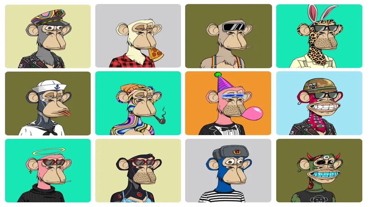 事実を正確に──心臓病を公表した人気NFT創業者からの手紙 | CoinDesk JAPAN（コインデスク・ジャパン）