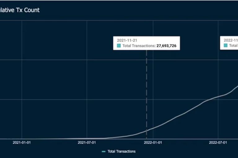 アバランチ・ブロックチェーン、2022年は取引数が前年比1500%増