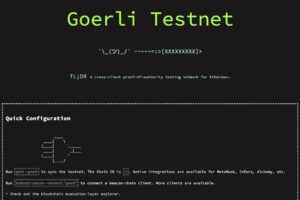 テストネット用イーサリアムが急騰──本来無料だが時価総額20億円に