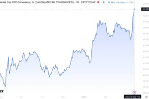 ビットコインのドミナンス、9カ月ぶりの高水準