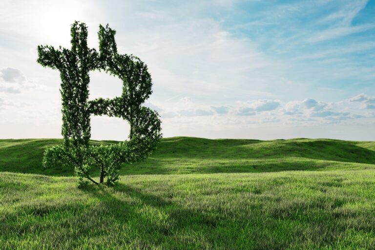 ビットコイン、史上最高のESG投資か?【オピニオン】