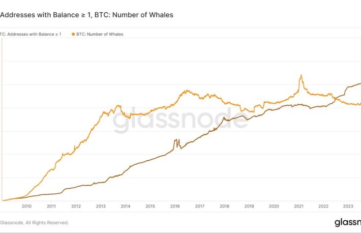 最低1BTCを保有するウォレット、100万を超えて過去最高を更新中