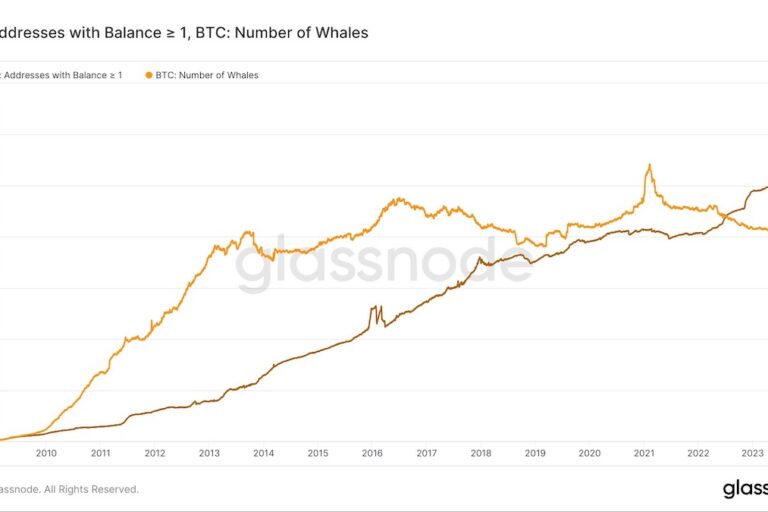 最低1BTCを保有するウォレット、100万を超えて過去最高を更新中