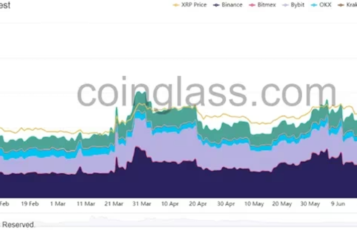 XRP先物の建玉、年初来最高を記録