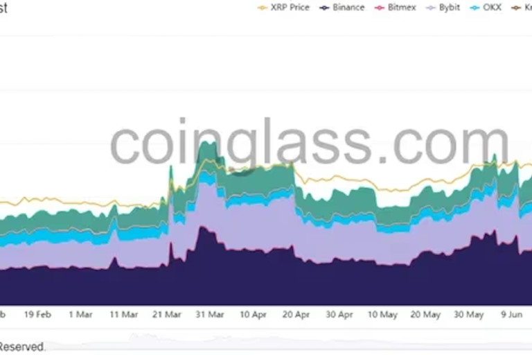 XRP先物の建玉、年初来最高を記録