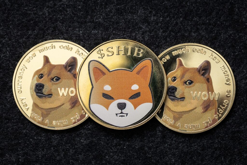 ぺぺコイン、ドージコイン、柴犬コイン……ミームコインはジョークではない