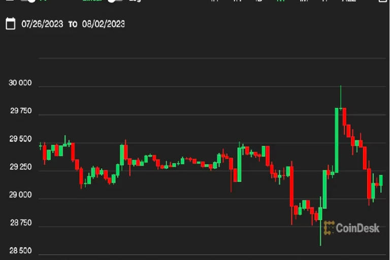 ビットコイン、急騰から2万9200ドル台に戻る──主要アルトコインは下落