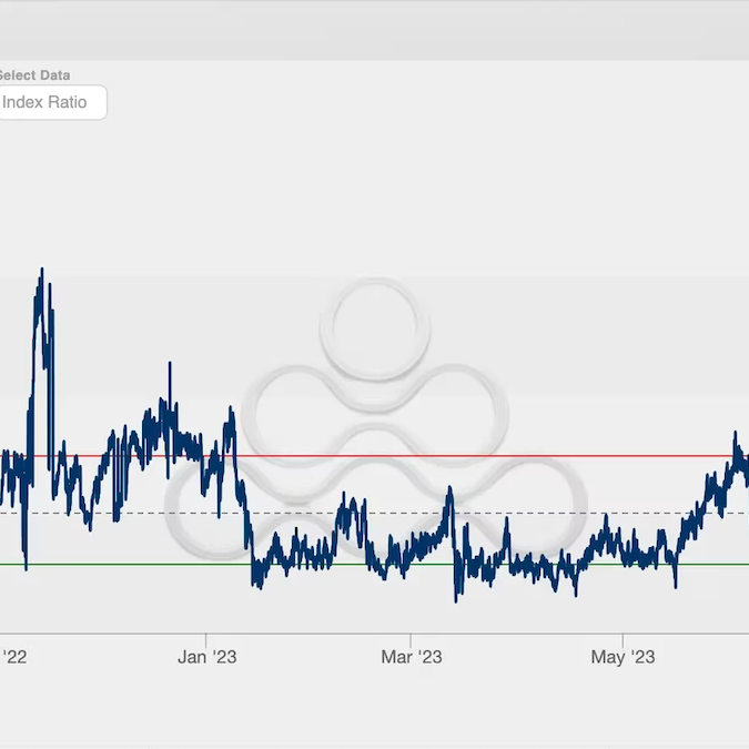 Путин様 リクエスト 2点 まとめ商品 InRed 2023年4月号増刊│宝島社の通販 宝島チャンネル