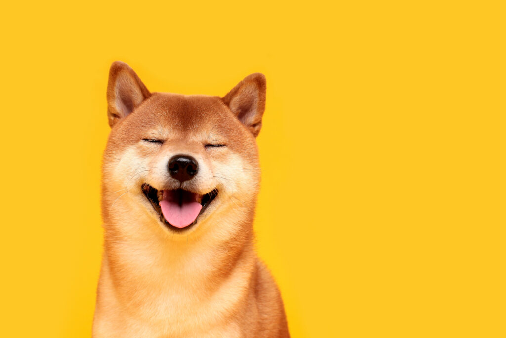 柴犬コインの「シバリウム」、運用開始──DeFiとゲームでの活用を期待