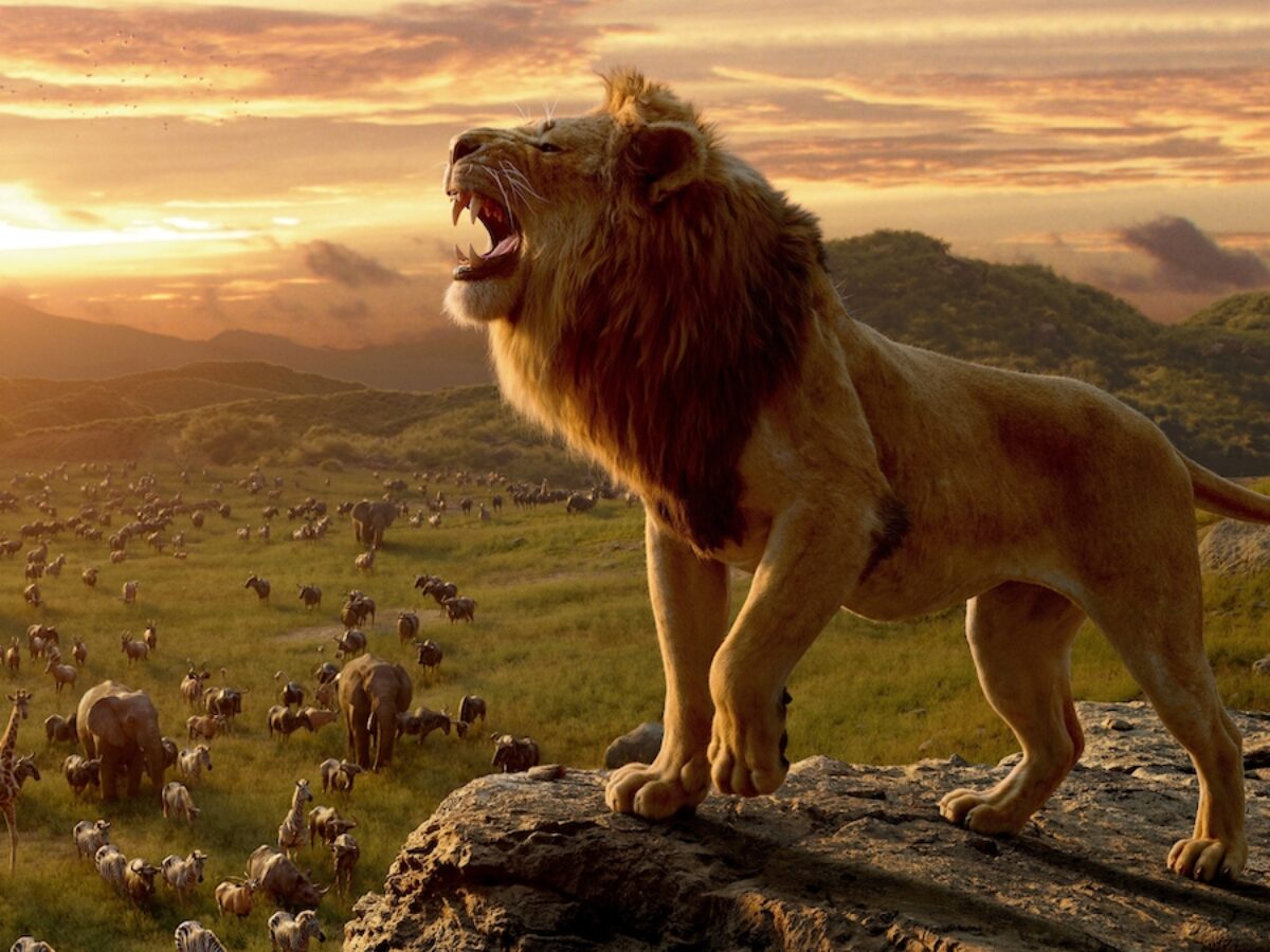 ビットコイン半減期──マイニング業界に「弱肉強食」の時代到来 | CoinDesk JAPAN（コインデスク・ジャパン）